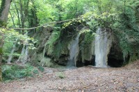 IMG_9698.JPG